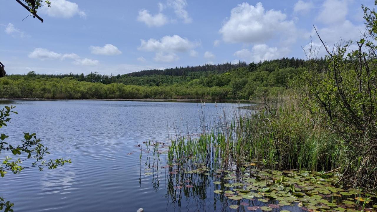 Vila No7 Glan Nodwydd Pentraeth Exteriér fotografie